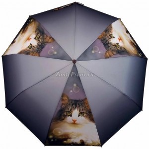 Красивый зонт с котом Amico, полуавтомат, арт. 122-7